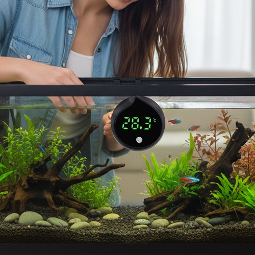 Digital led aquarium - digital,