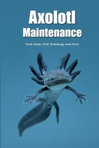 Axolotl maintenance tank - axolotl, maintenance: