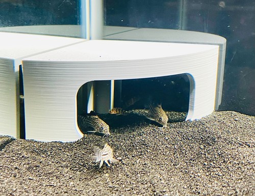Aquarium cave corner fish tank - corner,