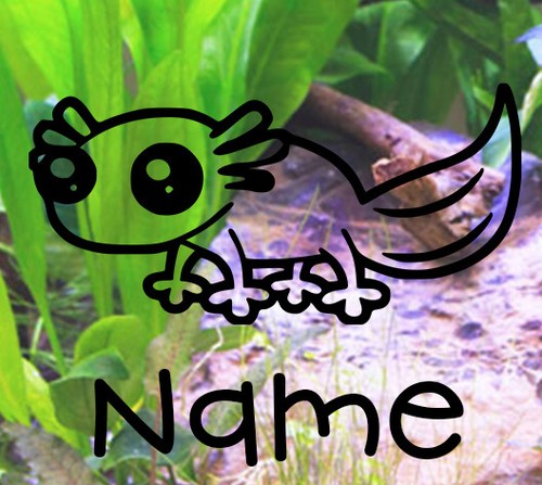 Axolotl customised vivarium - **,