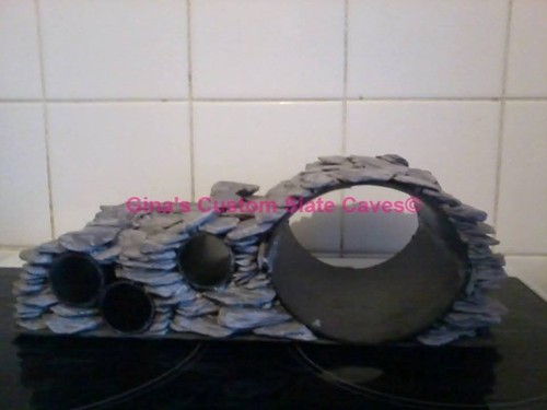 Large multi plec pleco - large,