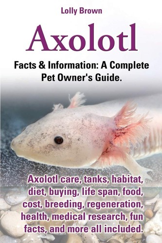 Axolotl care tanks - axolotl, care,