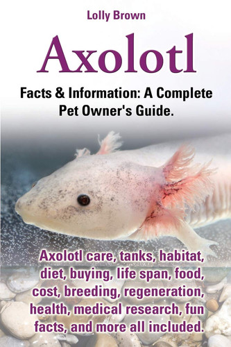 Axolotl care tanks - axolotl:,