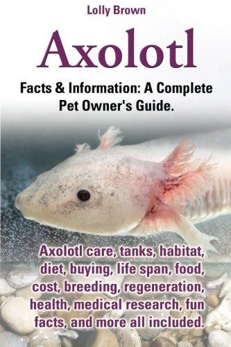 Axolotl care - axolotl, tanks