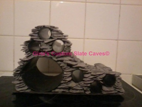 Large multi plec pleco axolotl - multi,