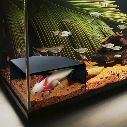 Aquarium corner cave hide - aquarium,