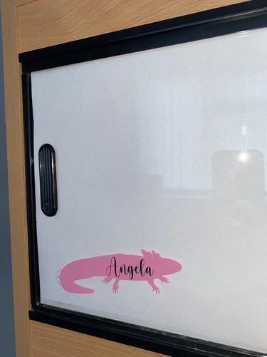 Personalised axolotl aquarium - personalised,