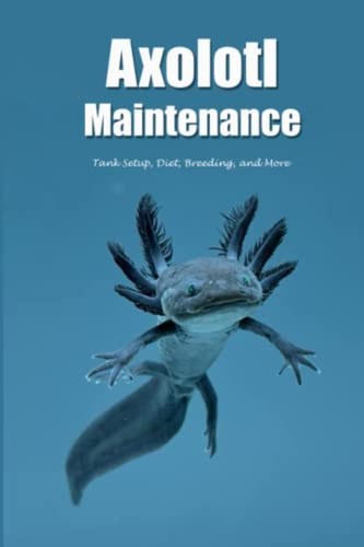 Axolotl maintenance tank - maintenance,