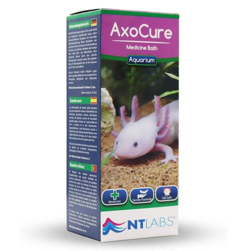 Labs aquarium fish - aquarium, tank